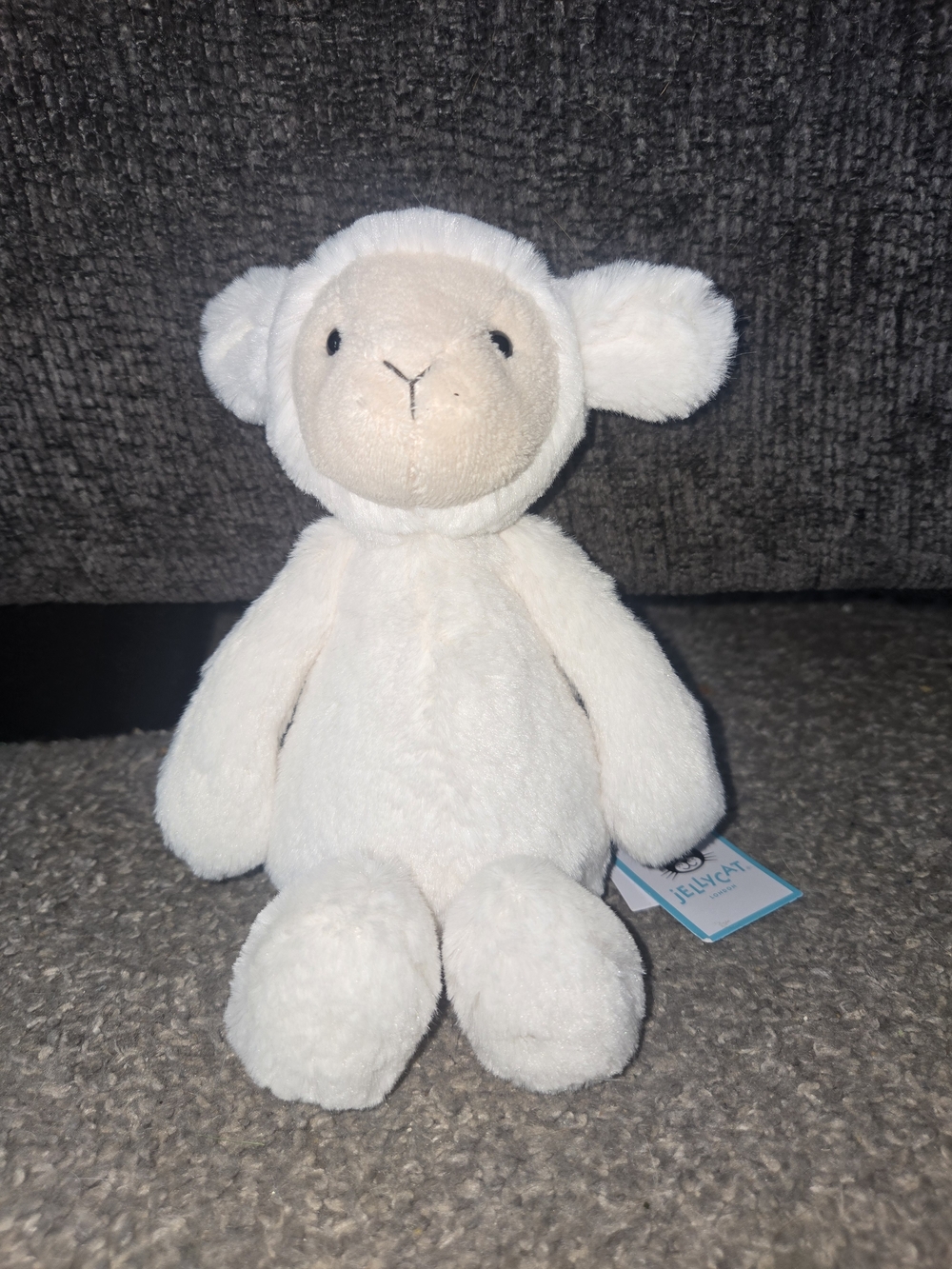 Jellycat Bashful Little Lamb With Tags